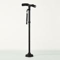 Black walking cane on a light studio background.