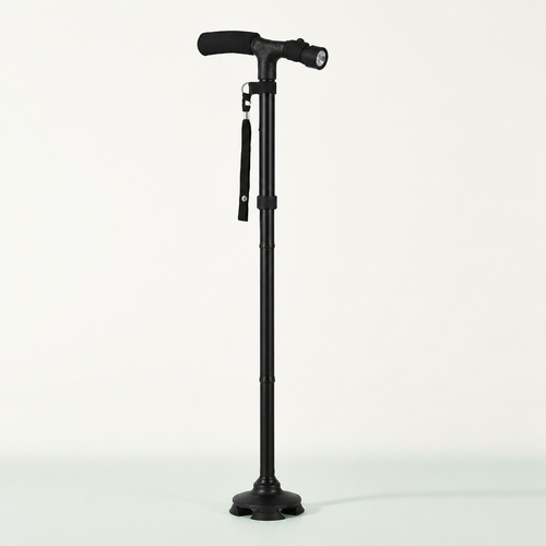 Black walking cane on a light studio background.